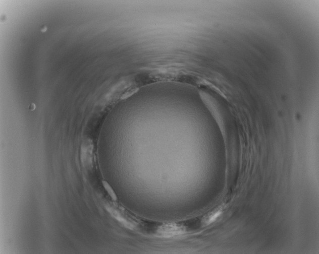 X0000080710231200612221151