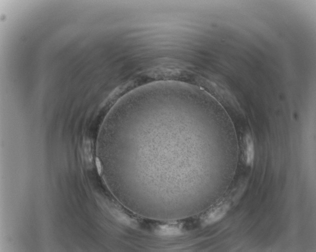 X0000080710232200612221150