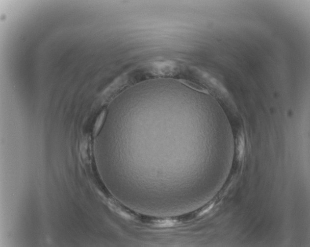 X0000080710233200612221150