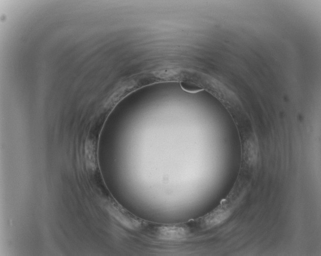 X0000080710234200612221150