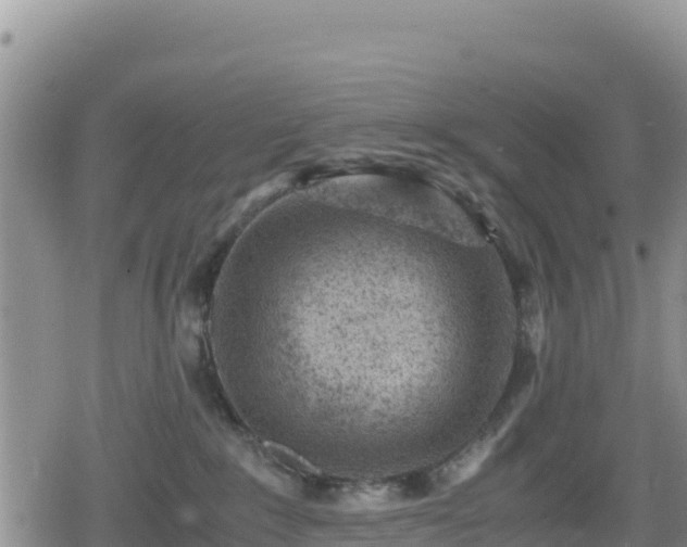 X0000080710235200612221150