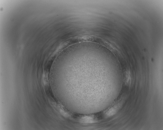 X0000080710236200612221150