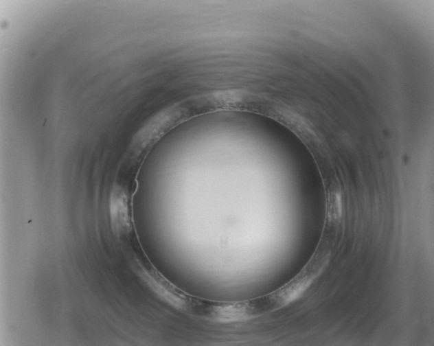 X0000080710238200612221150