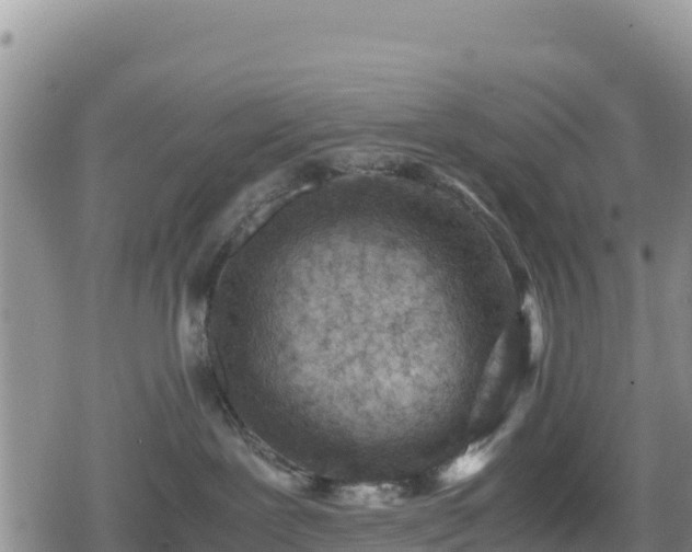 X0000080710239200612221150