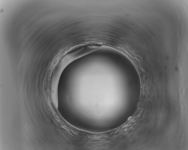 X0000080710241200612221150