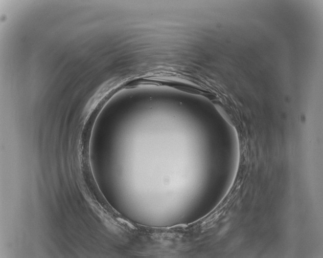 X0000080710242200612221150