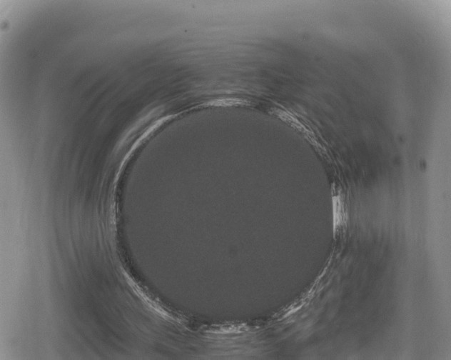 X0000080710243200612221150