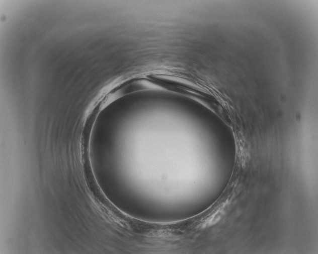 X0000080710244200612221150