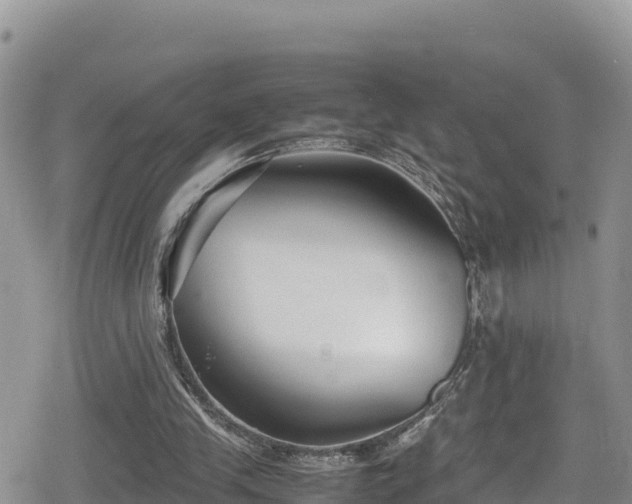 X0000080710245200612221150