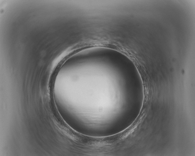 X0000080710246200612221150