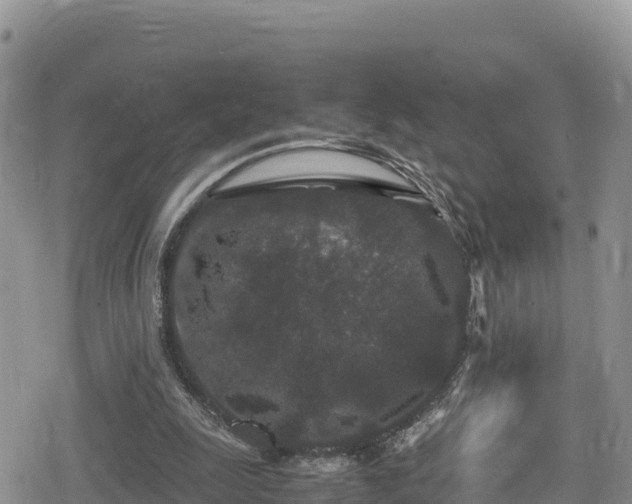 X0000080710247200612221150