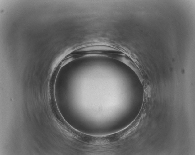 X0000080710248200612221150