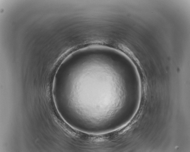 X0000080710249200612221150