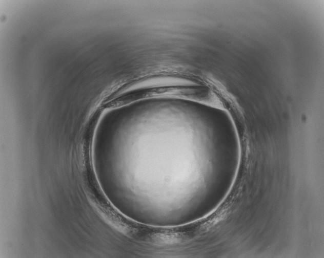 X0000080710250200612221150