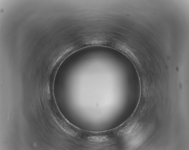 X0000080710251200612221150