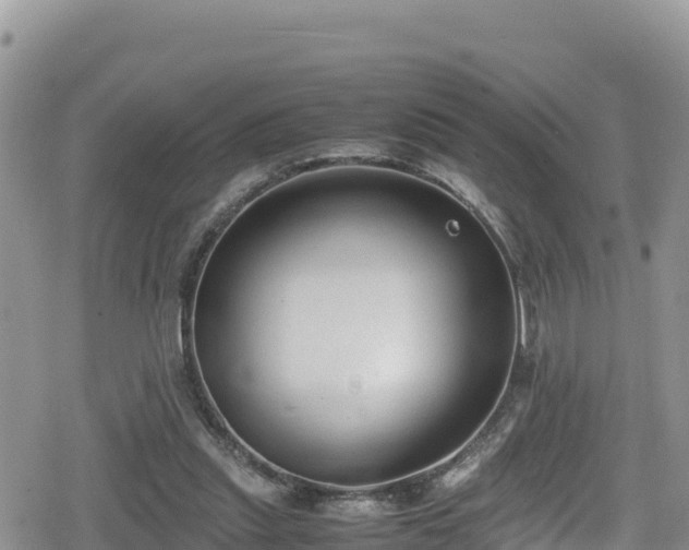 X0000080710253200612221150