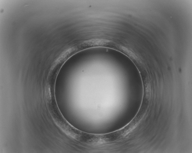 X0000080710254200612221150