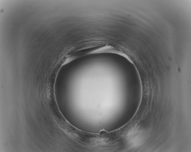 X0000080710255200612221150