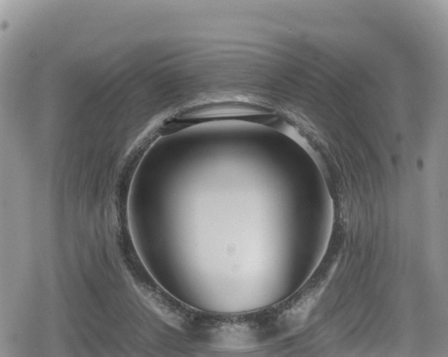 X0000080710256200612221150