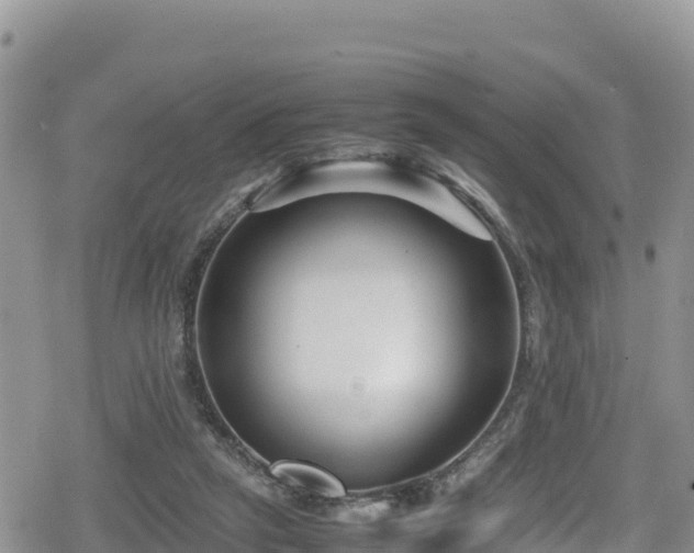 X0000080710257200612221150