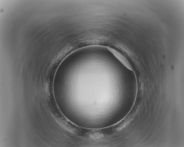 X0000080710258200612221150