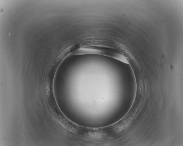 X0000080710259200612221150