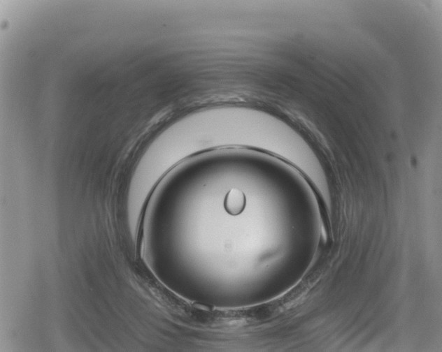 X0000080710260200612221150