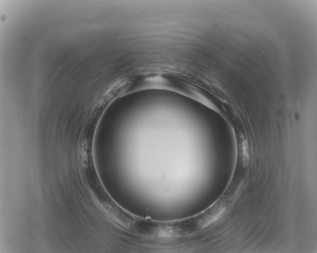 X0000080710264200612221150