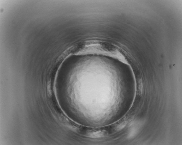 X0000080710267200612221150