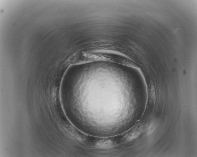 X0000080710271200612221150