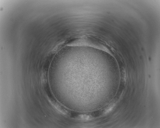 X0000080710272200612221150