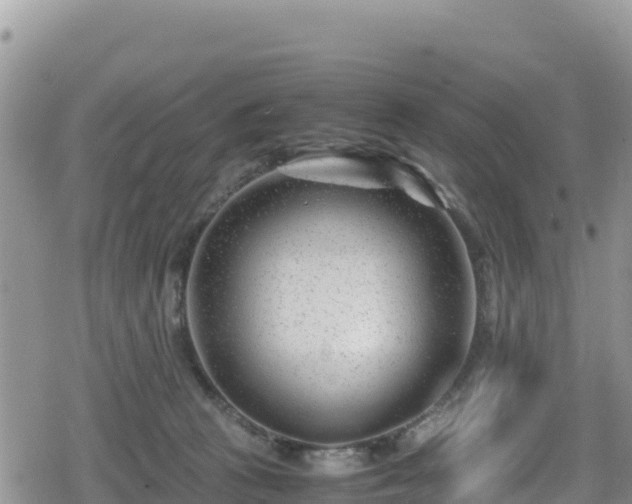 X0000080710273200612221150