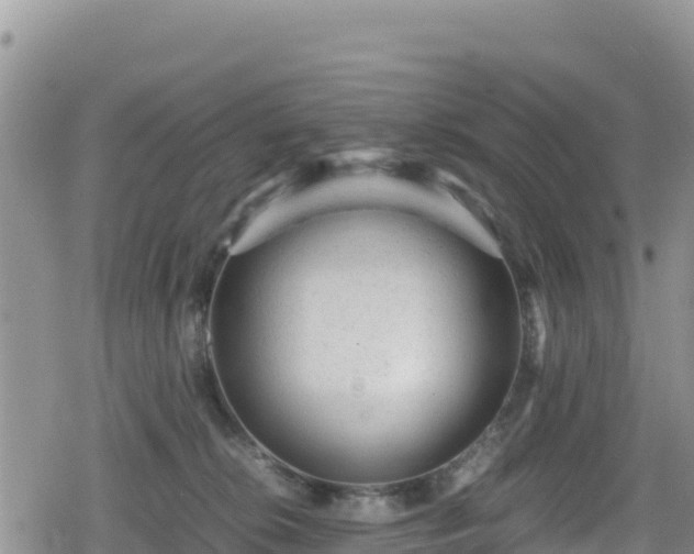 X0000080710276200612221150