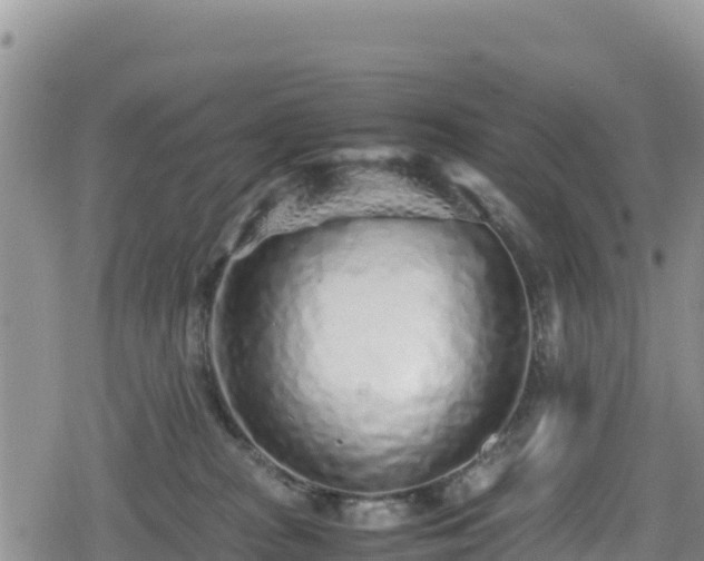 X0000080710277200612221150