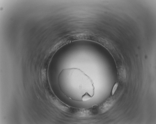 X0000080710278200612221150