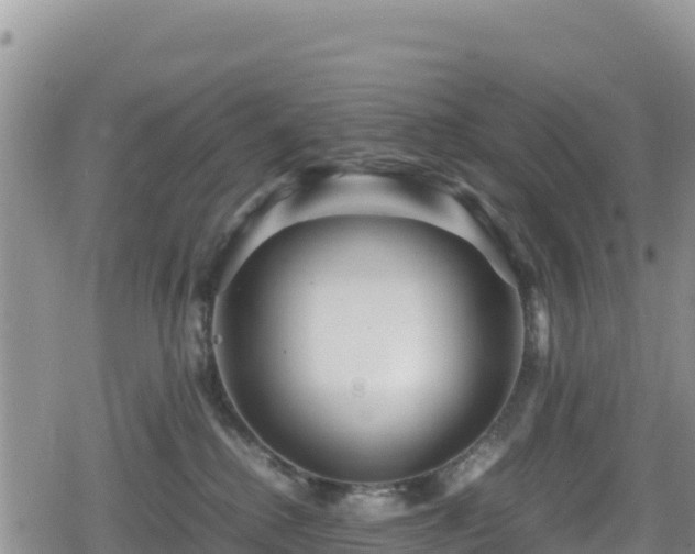 X0000080710280200612221150