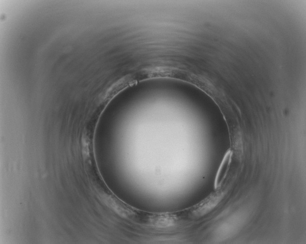 X0000080710282200612221150