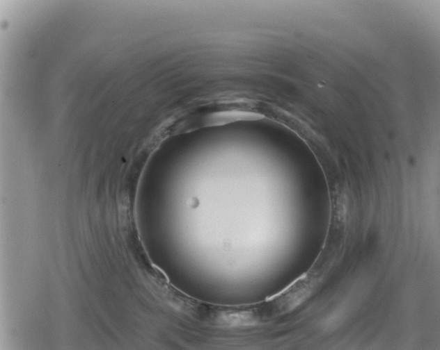 X0000080710283200612221150