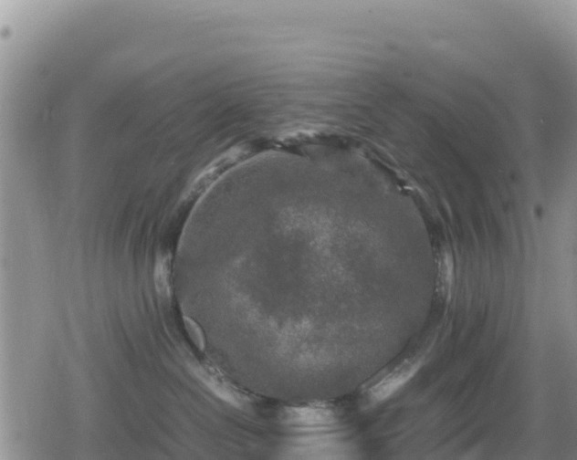 X0000080710286200612221150