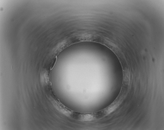 X0000080710287200612221150