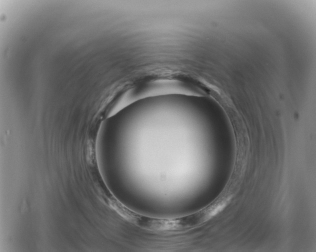 X0000080710288200612221150