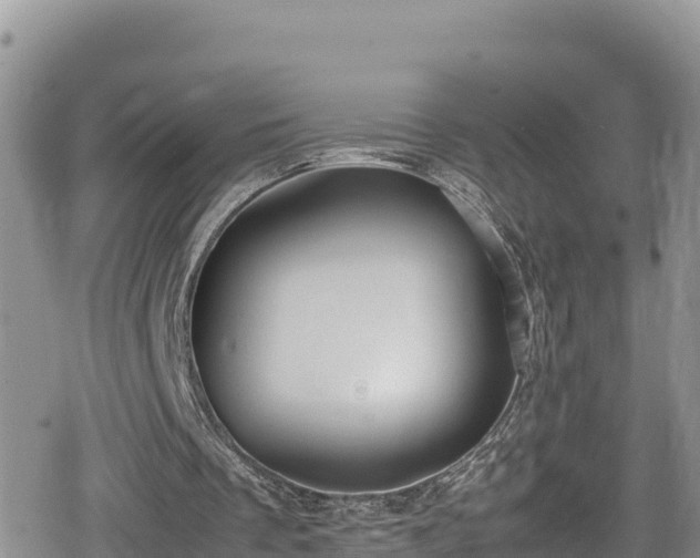 X0000080710289200612221150