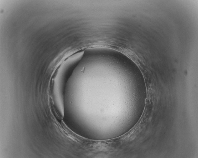 X0000080710290200612221150