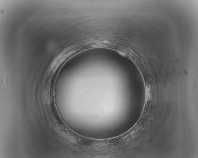 X0000080710291200612221150