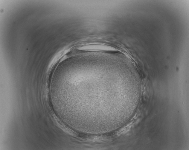 X0000080710293200612221150