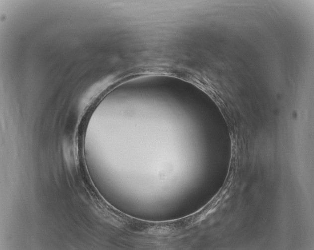 X0000080710294200612221149