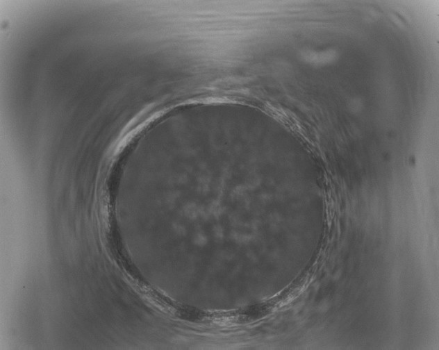 X0000080710295200612221149