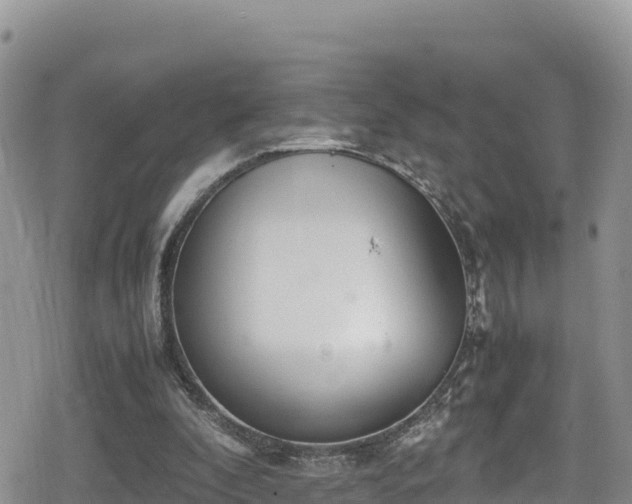 X0000080710296200612221149