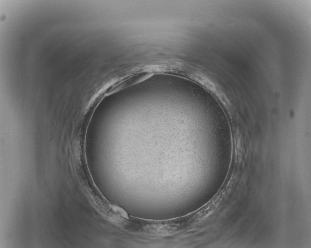 X0000080710297200612221149