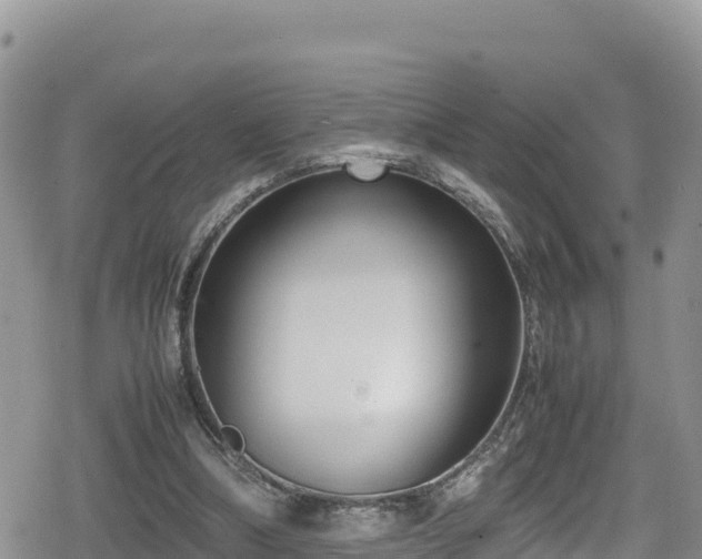 X0000080710298200612221149